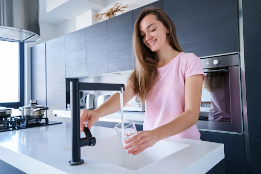 Featured image for “Reverse Osmosis vs. Carbon Water Filtration”
