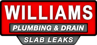williamsplumbinganddrain.com