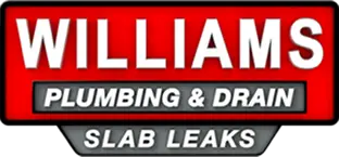 williamsplumbinganddrain.com